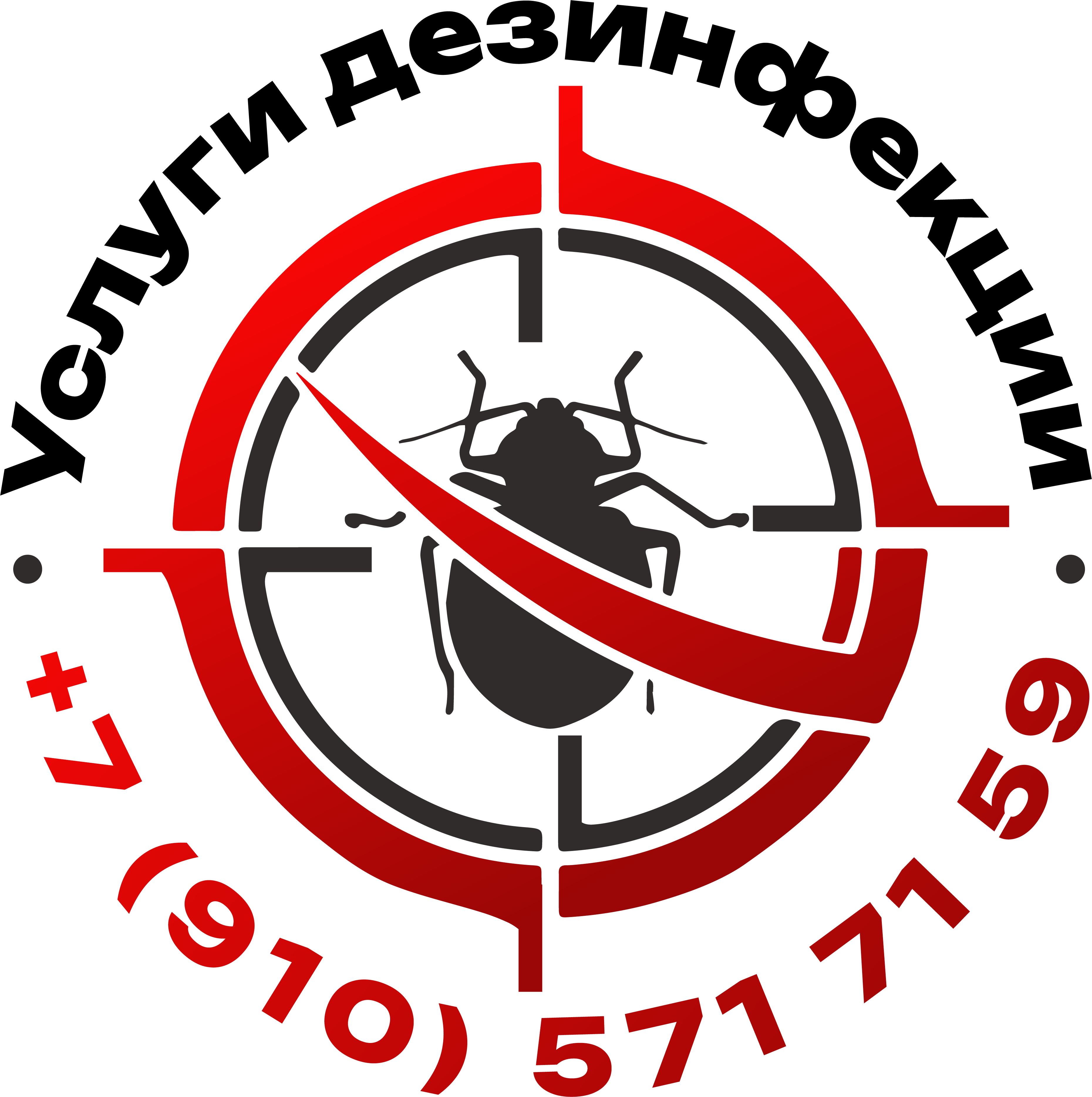 dzn62